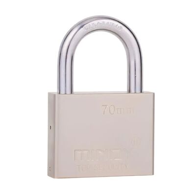 Serratura di metallo ad alta sicurezza 40 mm 50 mm 60 mm 70 mm Ferro Pad Lock