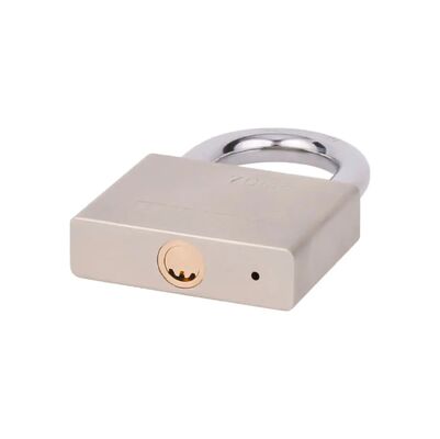 Serratura di metallo ad alta sicurezza 40 mm 50 mm 60 mm 70 mm Ferro Pad Lock